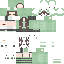 Vista previa del PNG de skin