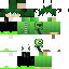 Vista previa del PNG de skin