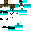 Vista previa del PNG de skin