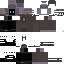 Vista previa del PNG de skin