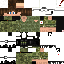 Vista previa del PNG de skin