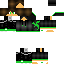 Vista previa del PNG de skin