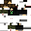 Vista previa del PNG de skin