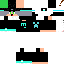 Vista previa del PNG de skin
