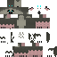 Vista previa del PNG de skin