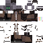 Vista previa del PNG de skin