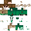 Vista previa del PNG de skin