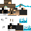 Vista previa del PNG de skin