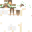 Vista previa del PNG de skin