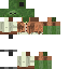 Vista previa del PNG de skin