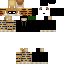 Vista previa del PNG de skin