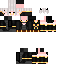 Vista previa del PNG de skin