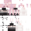 Vista previa del PNG de skin
