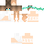 Vista previa del PNG de skin