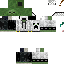 Vista previa del PNG de skin