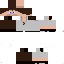Vista previa del PNG de skin