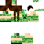 Vista previa del PNG de skin