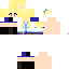 Vista previa del PNG de skin