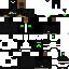 Vista previa del PNG de skin