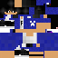 Vista previa del PNG de skin