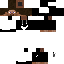 Vista previa del PNG de skin