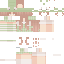 Vista previa del PNG de skin