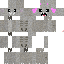 Vista previa del PNG de skin