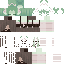 Vista previa del PNG de skin