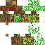 Vista previa del PNG de skin