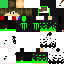 Vista previa del PNG de skin