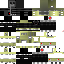 Vista previa del PNG de skin