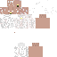 Vista previa del PNG de skin