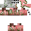 Vista previa del PNG de skin