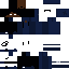 Vista previa del PNG de skin