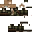 Vista previa del PNG de skin