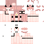 Vista previa del PNG de skin