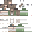 Vista previa del PNG de skin