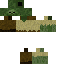 Skin PNG preview