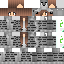 Vista previa del PNG de skin
