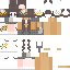 Vista previa del PNG de skin