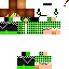 Vista previa del PNG de skin