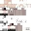 Vista previa del PNG de skin