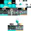 Vista previa del PNG de skin