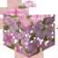 Skin PNG preview