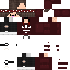Vista previa del PNG de skin