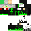 Vista previa del PNG de skin