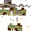 Vista previa del PNG de skin