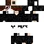 Vista previa del PNG de skin