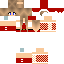 Vista previa del PNG de skin