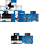 Vista previa del PNG de skin